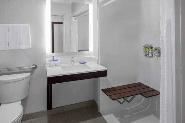 Holiday Inn Express & Suites Asheville SW - Outlet Ctr Area image 15