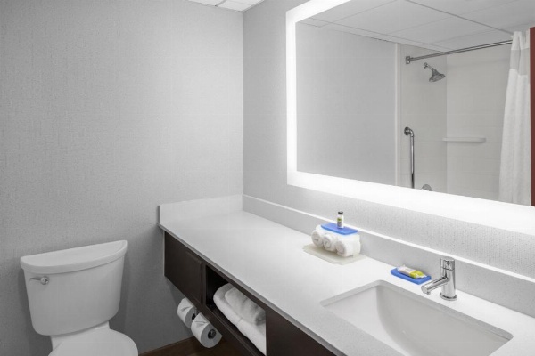 Holiday Inn Express & Suites Asheville SW - Outlet Ctr Area image 9